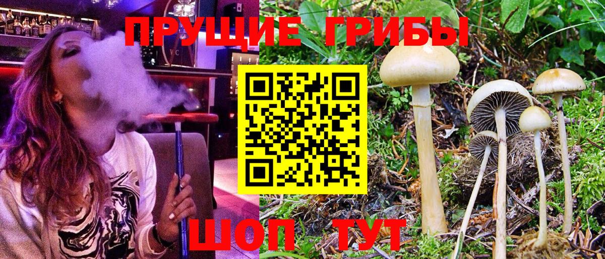 Галлюциногенные грибы прущие грибы  Вход с VPN  Бийск 